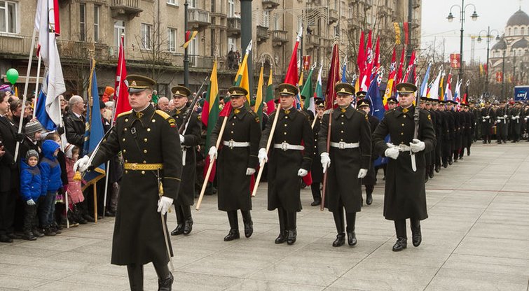 Trijų Baltijos valstybių vėliavų pakėlimo ceremonija (nuotr. Balsas.lt/Ruslano Kondratjevo)