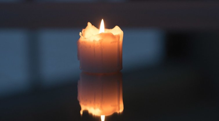 Žvakutės (nuotr. Fotodiena.lt)