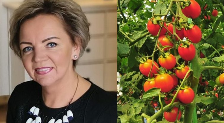 Per šventes feisbuke pasidalijusi nuotraukomis su savo užaugintais, bet svarbiausia žiemą sunokusiais pomidorais, Vilma sulaukė nemažai internautų klausimų (tv3.lt fotomontažas)