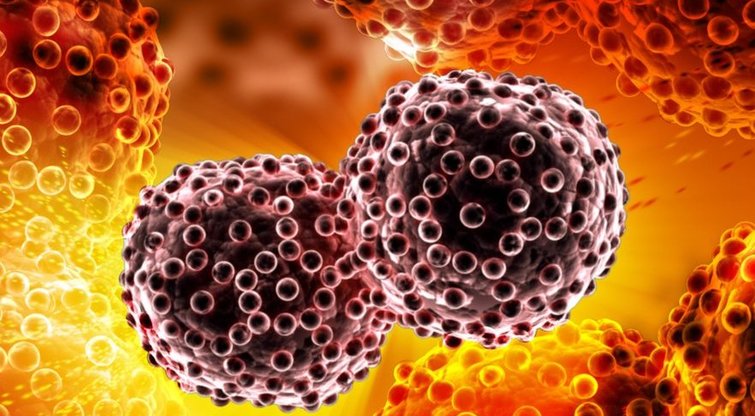 Vėžys  (nuotr. Shutterstock.com)
