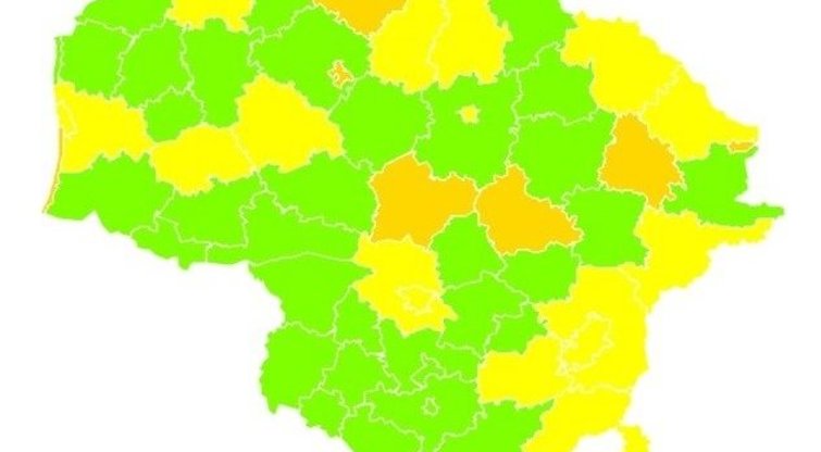 Lietuvos savivaldybės pagal susirgimų skaičių (nuotr. Lietuvos statistikos departamento)