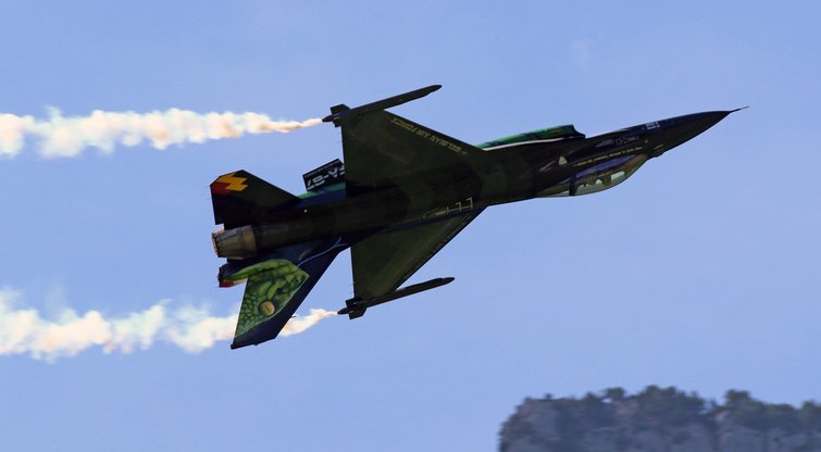 Naikintuvas F-16 (nuotr. SCANPIX)