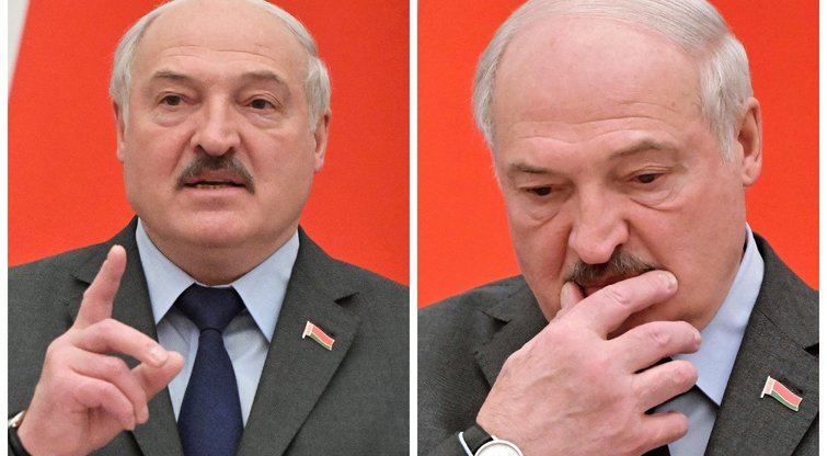Buvęs Ukrainos užsienio reikalų ministras: „Lukašenka – suktas kolchoznikas“ (nuotr. SCANPIX) tv3.lt fotomontažas