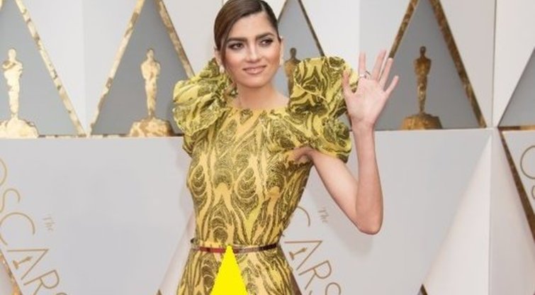Metų gėda: ant raudono „Oskarų“ kilimo suknelė fotografams nepaliko paslapties  (nuotr. Vida Press)