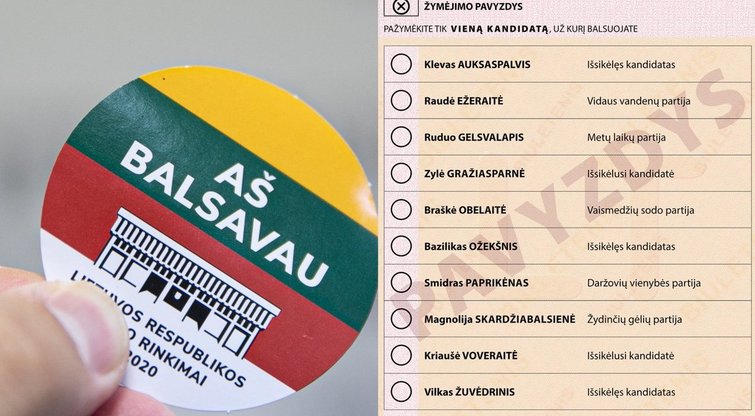 VRK skelbia balsavimo biuletenio pavyzdį (nuotr. BNS ir VRK)  