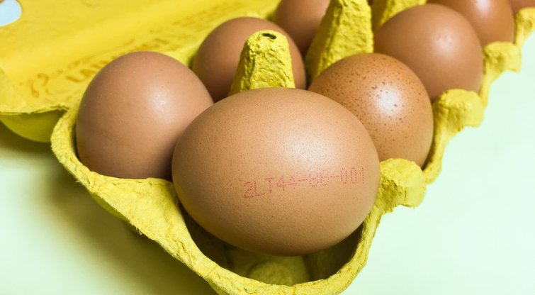 Kiaušiniai (Projekto partnerio nuotr.)