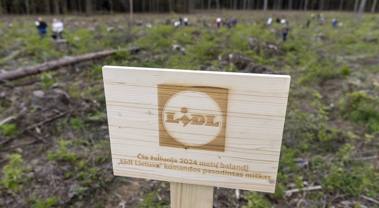 Nacionaliniame miškasodyje dalyvusi „Lidl Lietuva“ komanda pasodino beveik 14 tūkst. medelių  