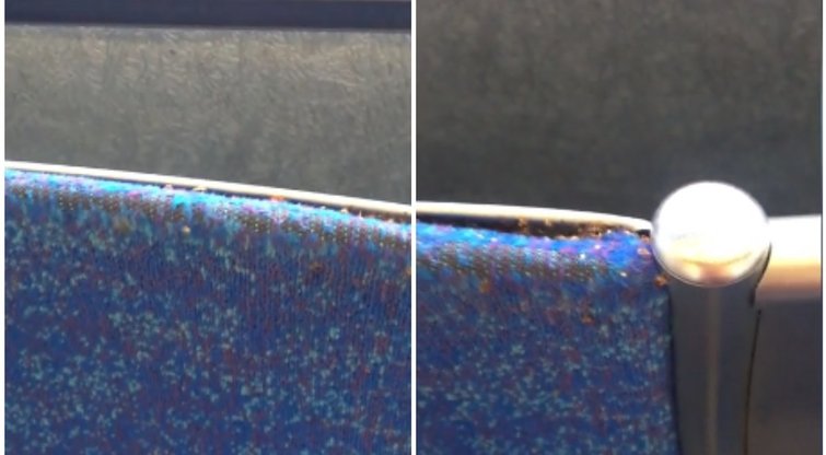 Tai, ką moteris aptiko autobuse – kelia šoką: žiūrėkite, kur sėdate (nuotr. socialinių tinklų)