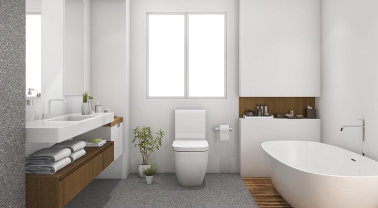 Vonios kambarys (nuotr. shutterstock.com)