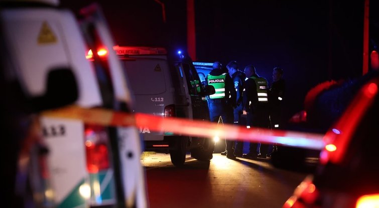 Vilniuje Paneriuose traukinys mirtinai sužalojo vaikiną (nuotr. tv3.lt)