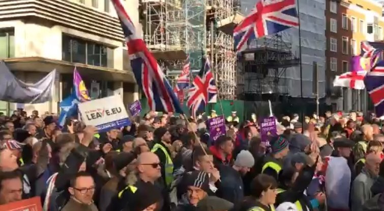 Protestas Londone (nuotr. stop kadras)