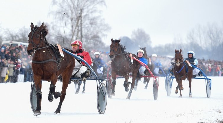 Dusetose vyksta tradicinės ristūnų žirgų lenktynės „Sartai 2018“ (nuotr. Fotodiena.lt)