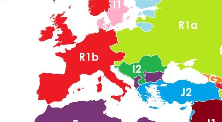 Europos žemėlapis, jeigu sienos būtų nubrėžtos pagal žmonių DNR skirtumus (nuotr. reddit)  
