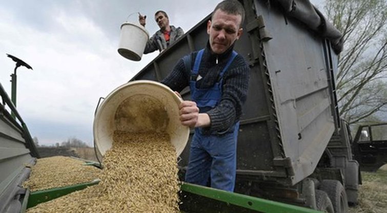 Ukrainos ūkinininkai (nuotr. SCANPIX)