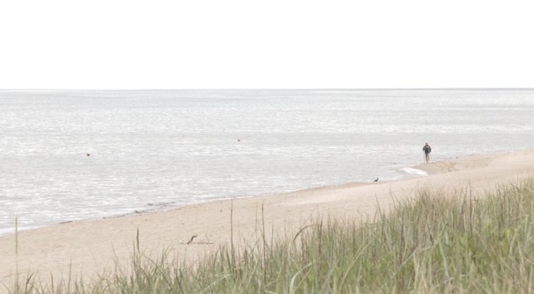 Atšilus orams Klaipėdos paplūdimiuose tyko iškrypėliai, vaizdai kopose – tik pradžia  