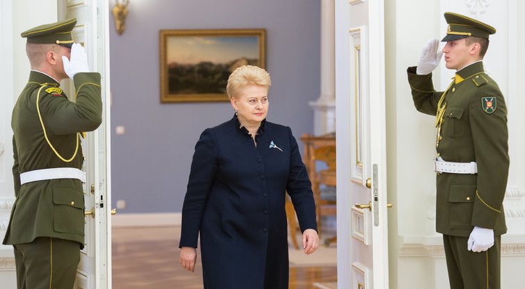 Dalia Grybauskaitė (nuotr. BFL / Š. Mažeikos)