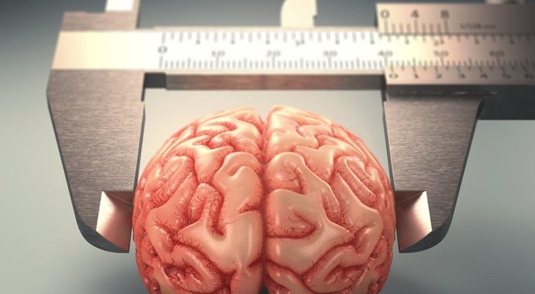 Intelekto koeficientas: 8 mitai apie mūsų smegenis (nuotr. SCANPIX)