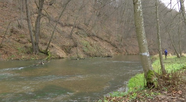 Upė (nuotr. stop kadras)