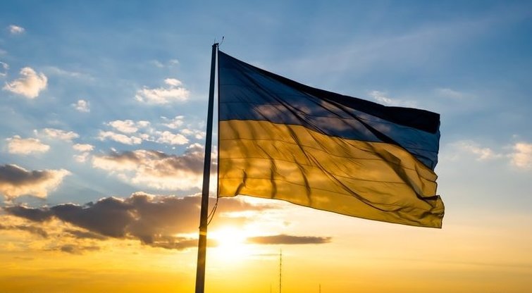 Ministerija siūlo dar metams nukelti reikalavimą dėl kalbos mokėjimo ukrainiečiams (nuotr. Shutterstock.com)