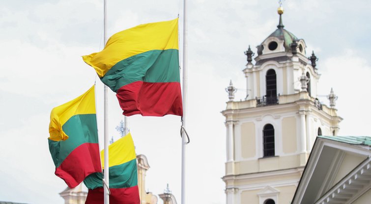 Lietuvos vėliava (nuotr. Fotodiena.lt)