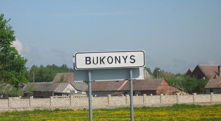 Bukonys (nuotr. Wikipedia)