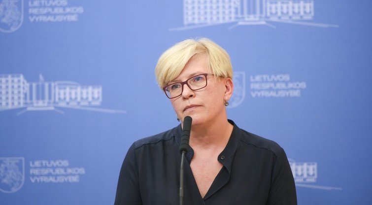 Ingrida Šimonytė (nuotr. Fotodiena/Justino Auškelio)