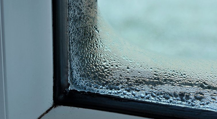 Pamirškite rasojančius langus namuose: ši gudrybė veikia 100 proc.  (nuotr. 123rf.com)