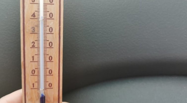 Vilnietė užfiksavo temperatūrą mašinoje (nuotr. asm. archyvo)