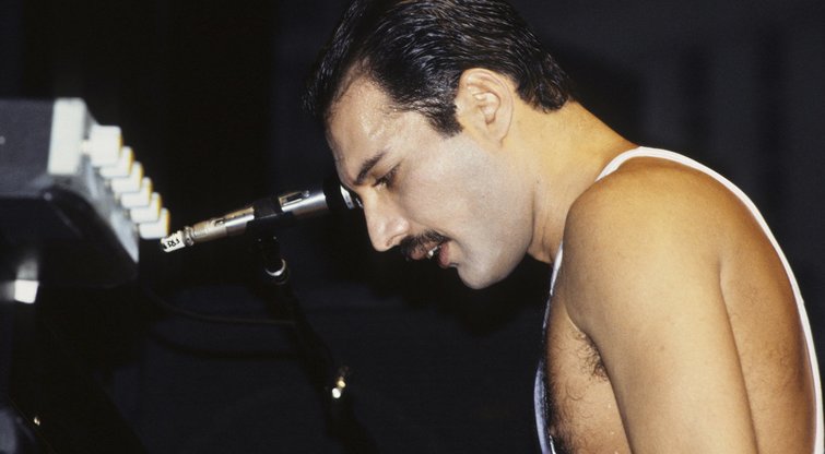 Freddie Mercury  