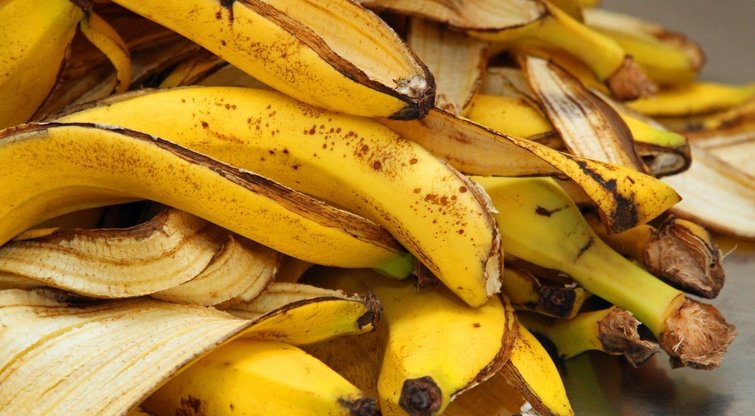 Bananai  (nuotr. 123rf.com)