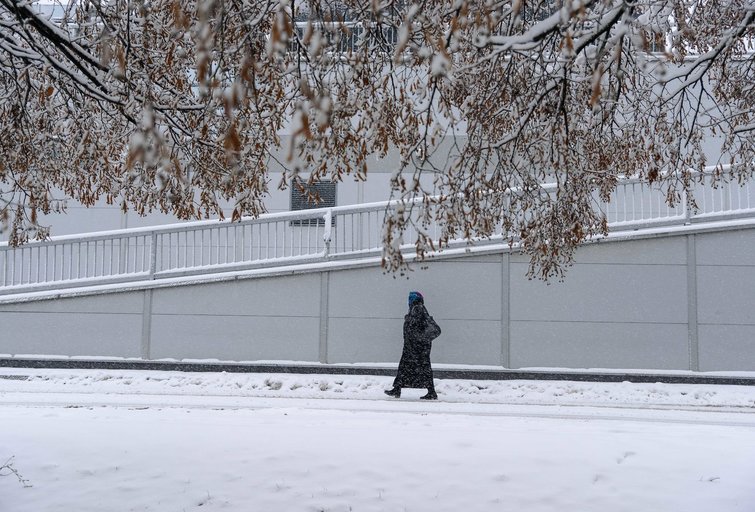Lietuvą užpustė sniegas (nuotr. Fotodiena/Justinas Auškelis)  