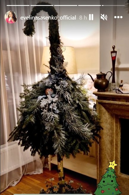 Evelinos Sašenko namuose sužibo kalėdinė eglutė (nuotr. Instagram)