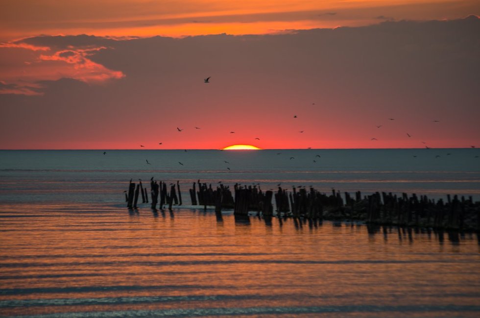 Saulėlydis prie jūros (nuotr. Eimanto Genio)