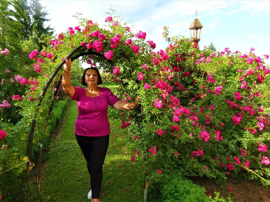 Irenos sodas stebina ir visko mačiusius – rožių krūmų beveik 200