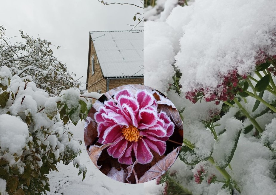 Lietuvą nuklojo sniegas: gyventojai fiksuoja vaizdus 