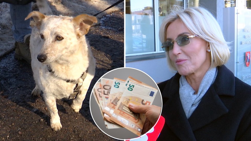 TV3 Žinios (tv3.lt koliažas) TV3 Žinios (tv3.lt koliažas)