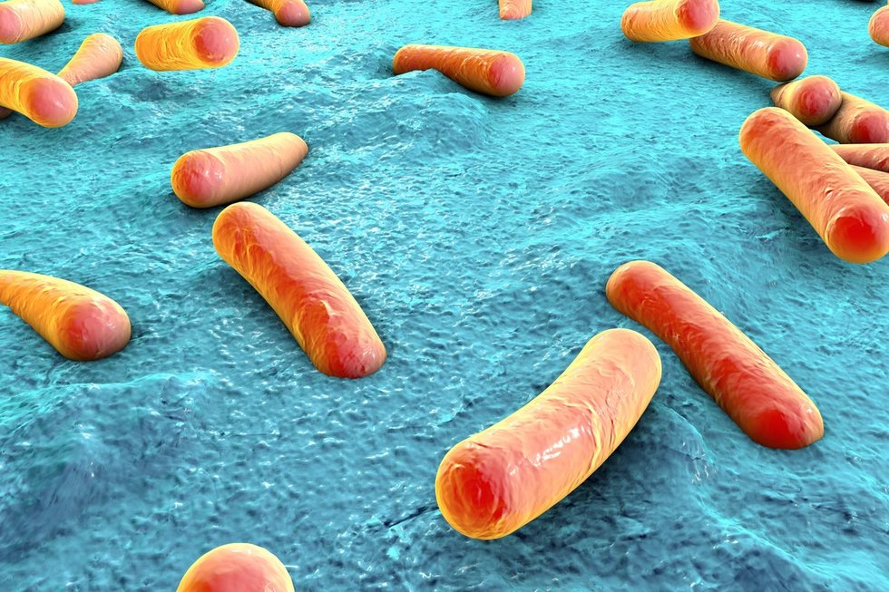 Bakterijos (nuotr. 123rf.com)