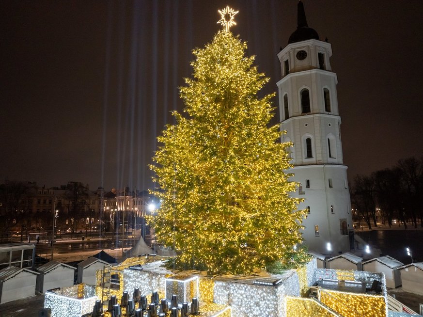 Vilnius įžiebė natūralią Kalėdų eglę (nuotr. Vilniaus miesto savivaldybės)