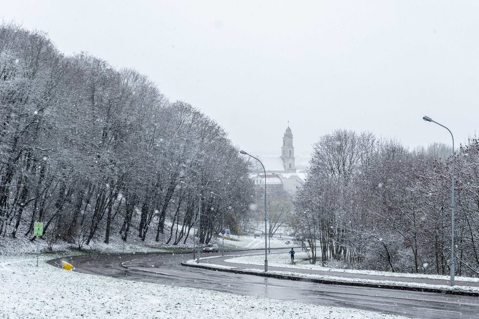 Žiema sostinėje (nuotr. Fotodiena/ Justinas Auškelis)
