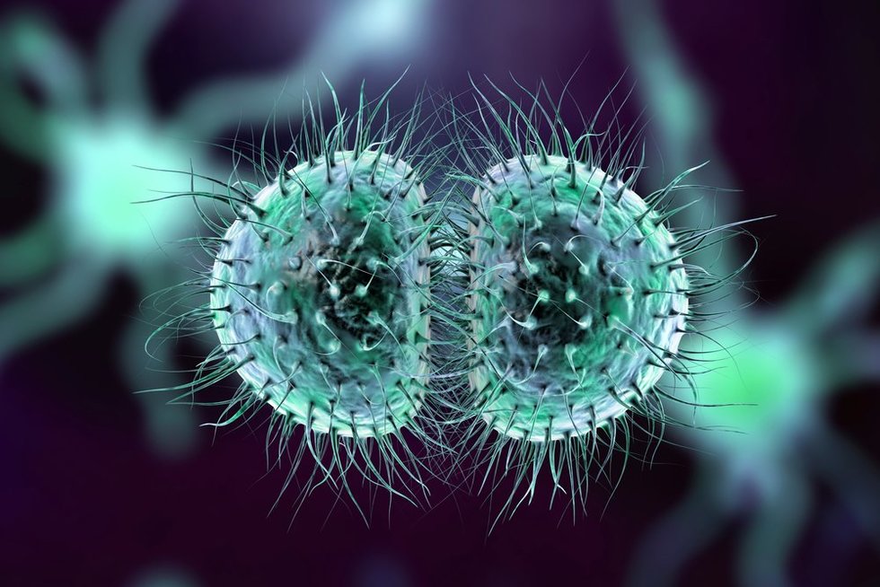 Meningokokinė infekcija (nuotr. Shutterstock.com)