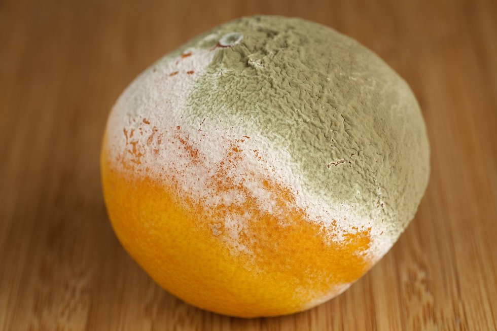 Supelijęs mandarinas (nuotr. SCANPIX)