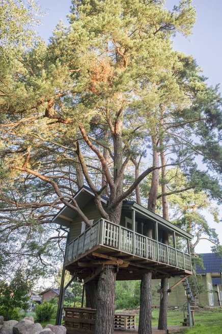Anykštėno pastatytas namelis medyje pritraukia šimtus turistų