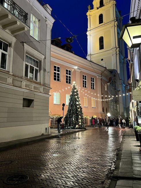Vilniečiai nustebę: lapkričio pradžioje Vilniaus Senamiestyje išdygo Kalėdų eglutė