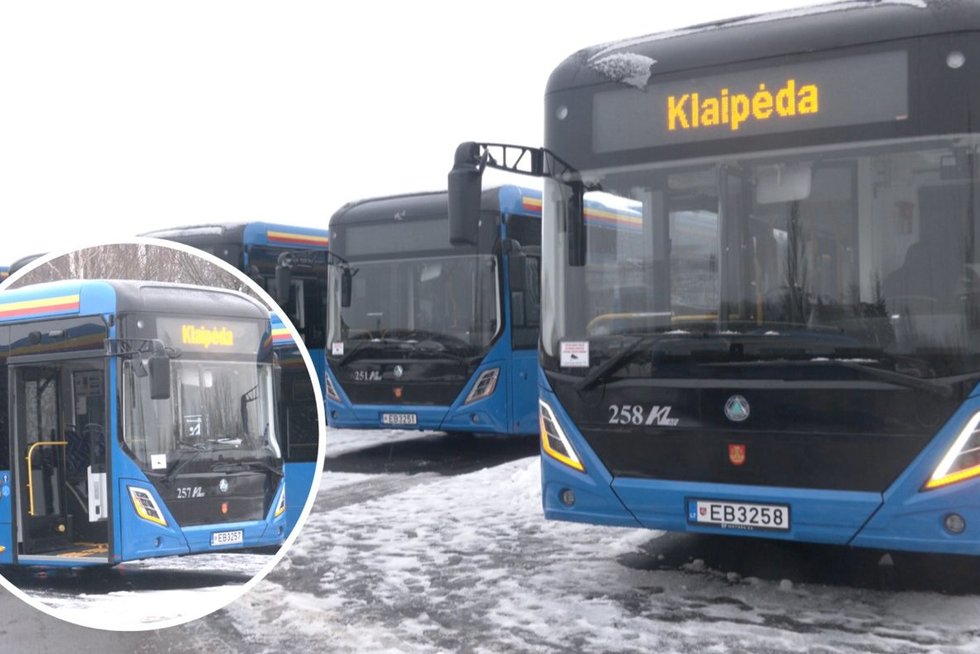 Elektriniai autobusai Klaipėdoje (tv3.lt koliažas)