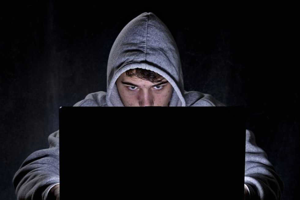 Kibernetinės atakos (nuotr. Fotolia.com)