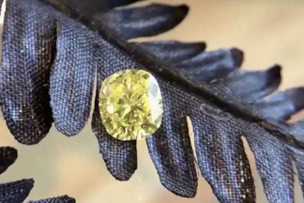 JAV įmonė siūlo paversti mirusių žmonių palaikus į deimantus: kaina prasideda nuo 3 tūkst. dolerių (nuotr. stop kadras)