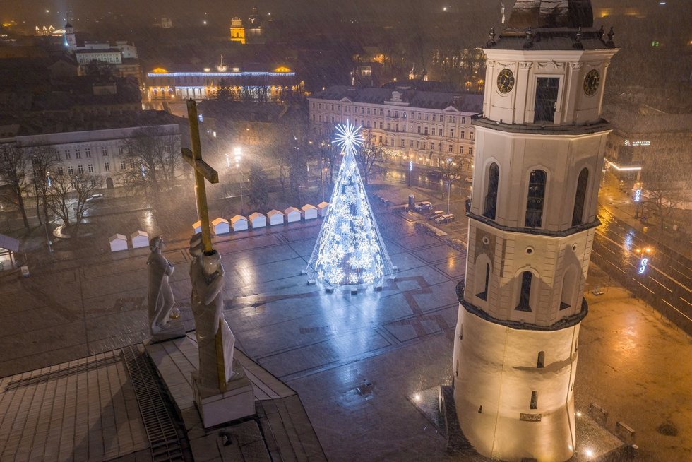 Vilniaus Kalėdų eglė (nuotr. Sauliaus Žiūros)