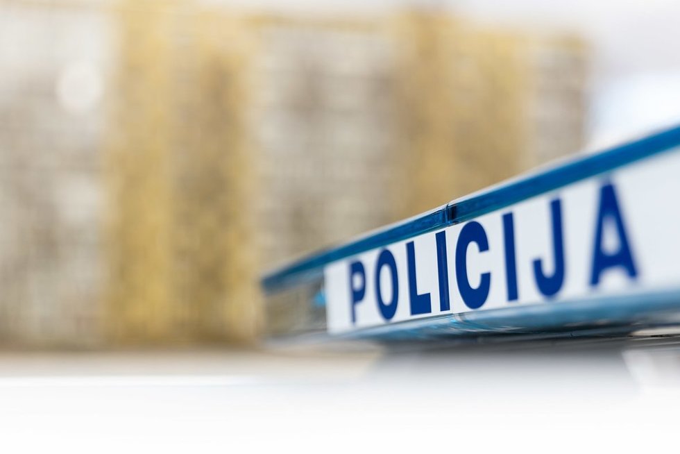 Policija (Žygimantas Gedvila/ BNS nuotr.)