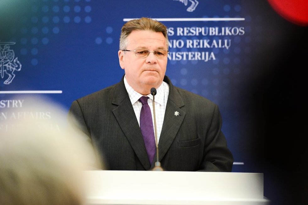 Užsienio reikalų ministro Lino Linkevičiaus spaudos konferencija (nuotr. Fotodiena/Justino Auškelio)