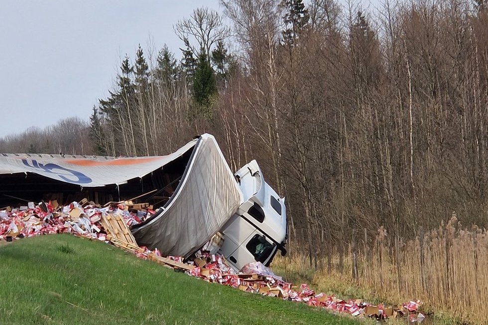 Vilkiko avarija kelyje Via Baltica (nuotr. Vaidos Girčės)